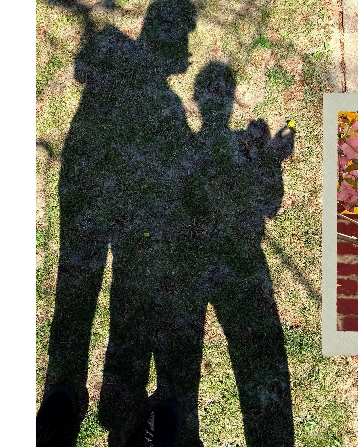 as the title says, some photos from my Camera Roll that I took in April

#picdump #april