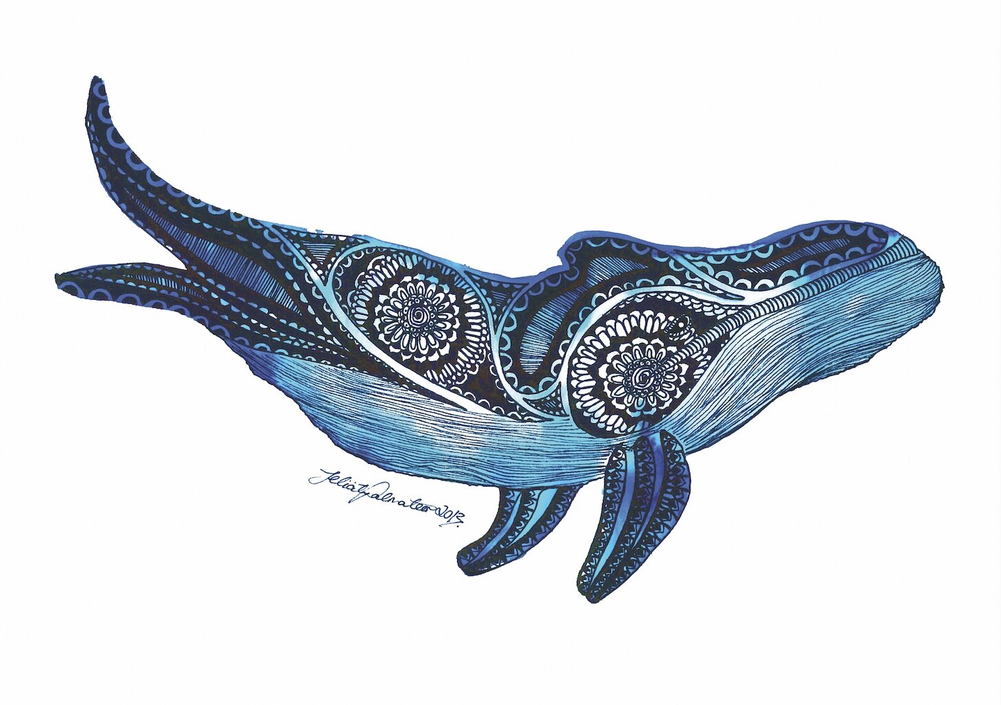 Humpback Whale