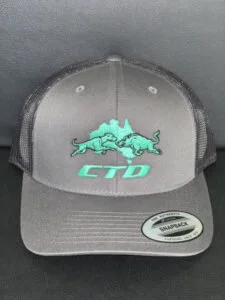 CTD-CAP-GREY-GREEN-225x300.jpg