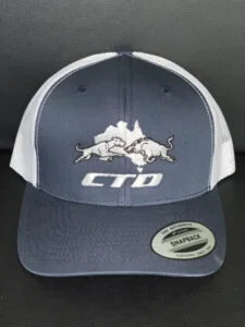 CTD-CAP-BLUE-WHITE-225x300.jpg