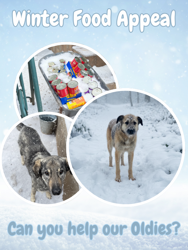 Buy an Oldie a Dinner for Winter