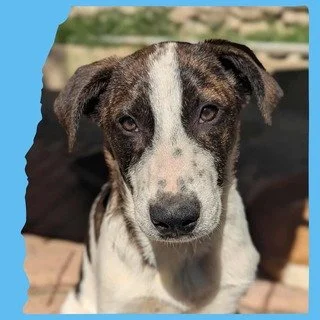 MJ: 8 months, medium