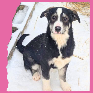 Flower: 4 months, large