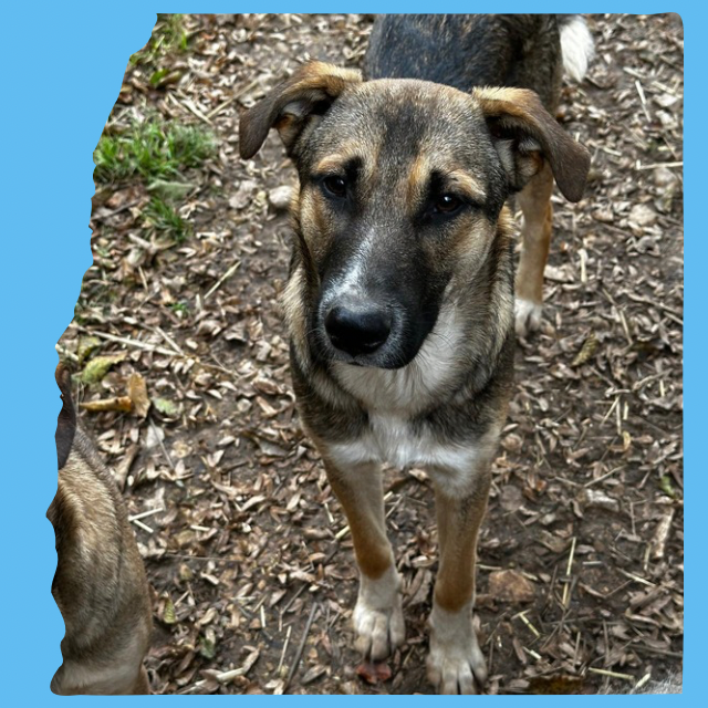 Mac: 10 months, medium