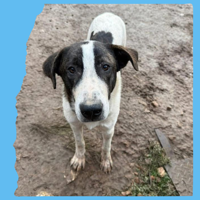 MJ: 10 months, medium