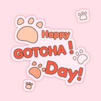 January’s Big Gotcha Day!