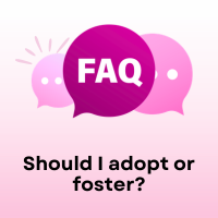 FAQ: Should you adopt or foster?