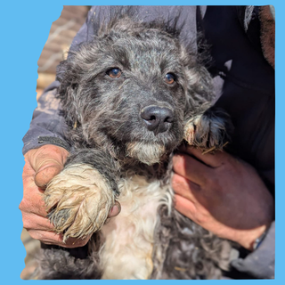 Frost: 4 months, medium