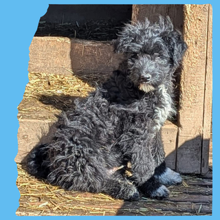 Everest: 4 months, medium