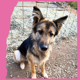 Saturday: 2 years, medium 