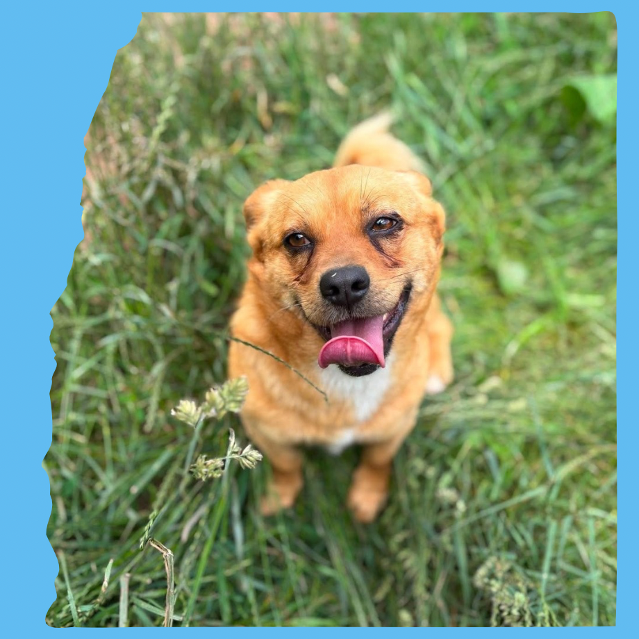 Ernie: 1½ years, small
