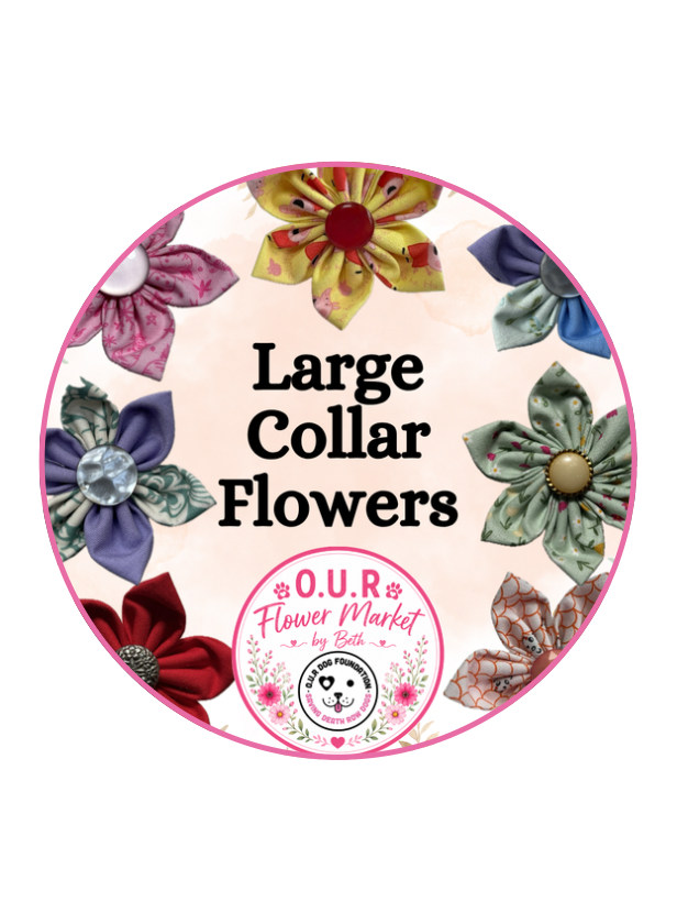 Large Collar Flowers