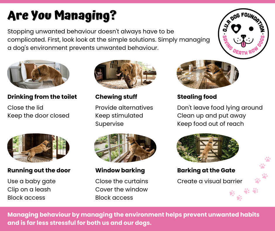 Are you managing.png