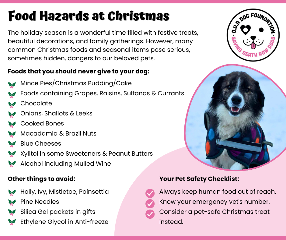 Food Hazards at Christmas.png