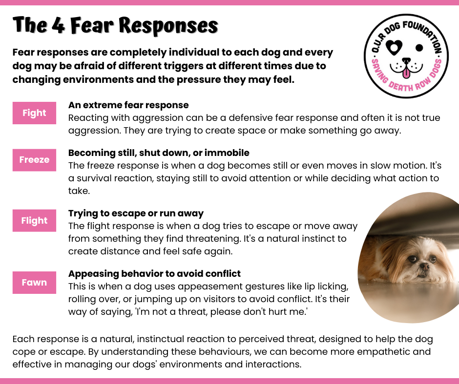 Fear_responses.png