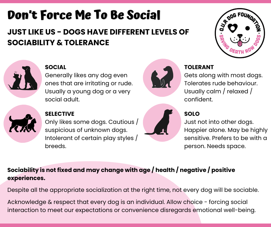 Don’t Force Me To Be Social.png