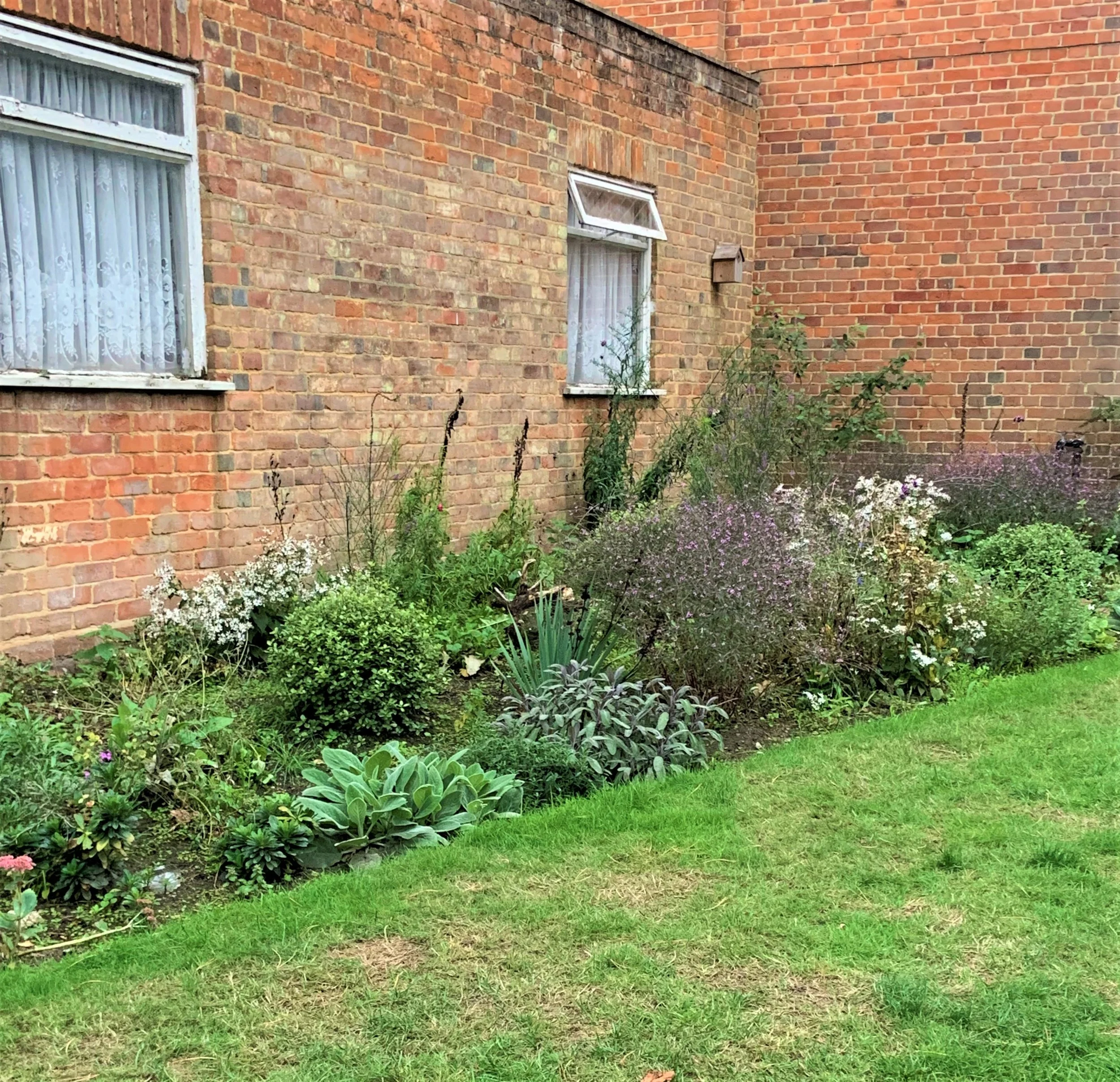 6 Diagonal year 1 Sept.JPG