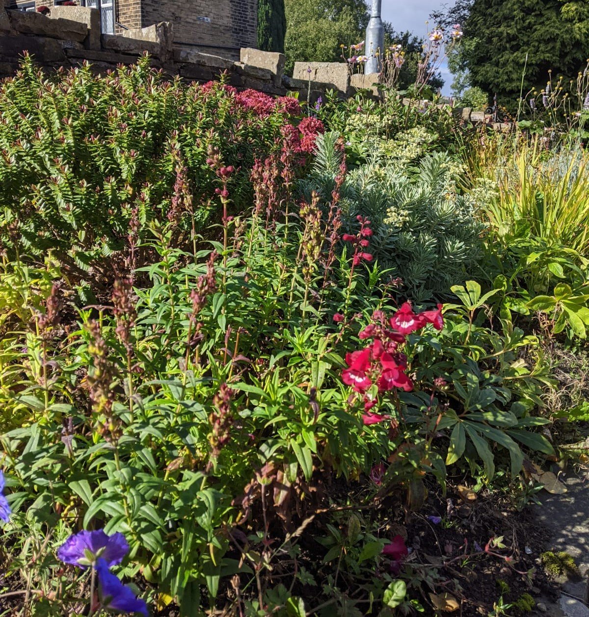 Front garden from centre shorter.jpg