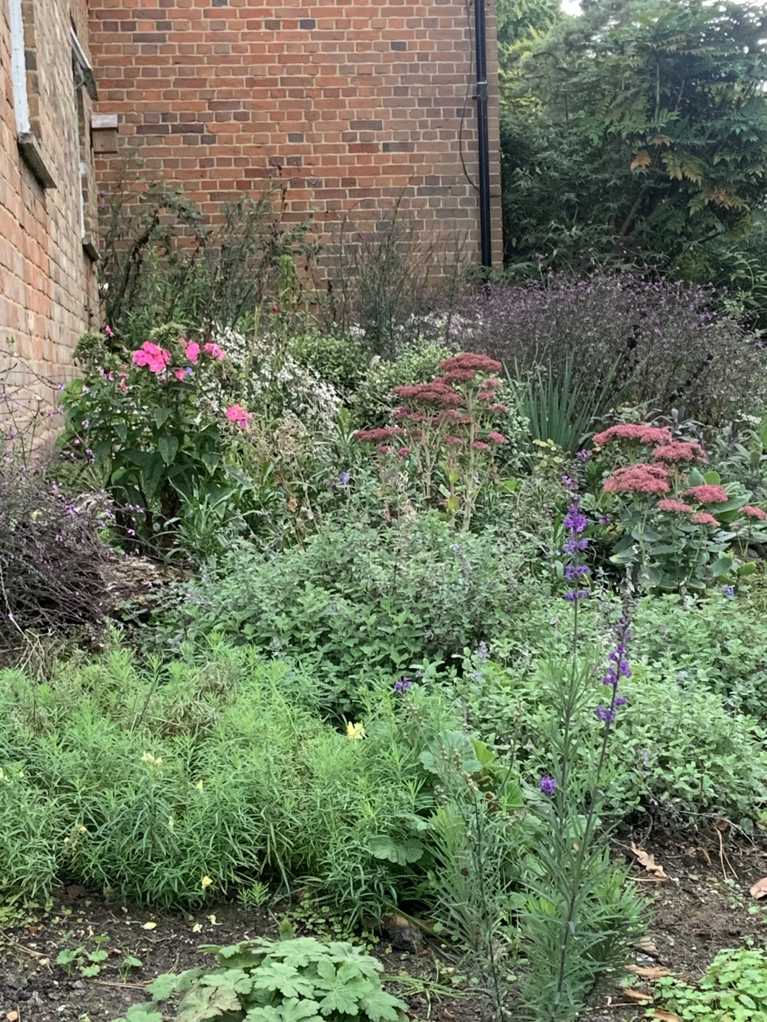 4 Cross garden closer from path year 1 sept.JPG