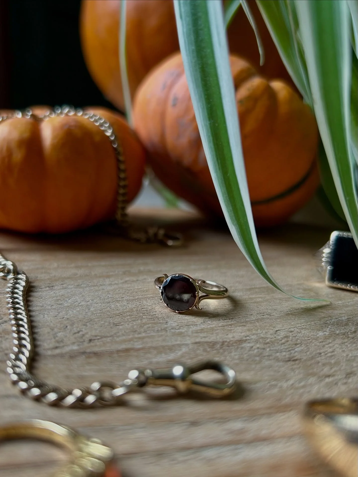 Happy Halloween my spooky friends! 👻

I am marking the occasion with this gorgeously gothic garnet, what a beaut.🖤

I hope you have a fab evening whatever spooky plans you have. This is my first Halloween with a baby, and yes, she is dressed reluct