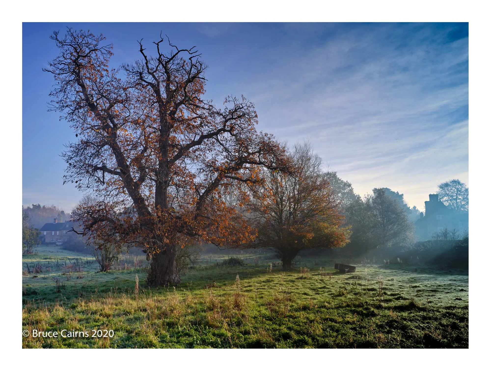 The Hall and Manor-Edit.jpeg