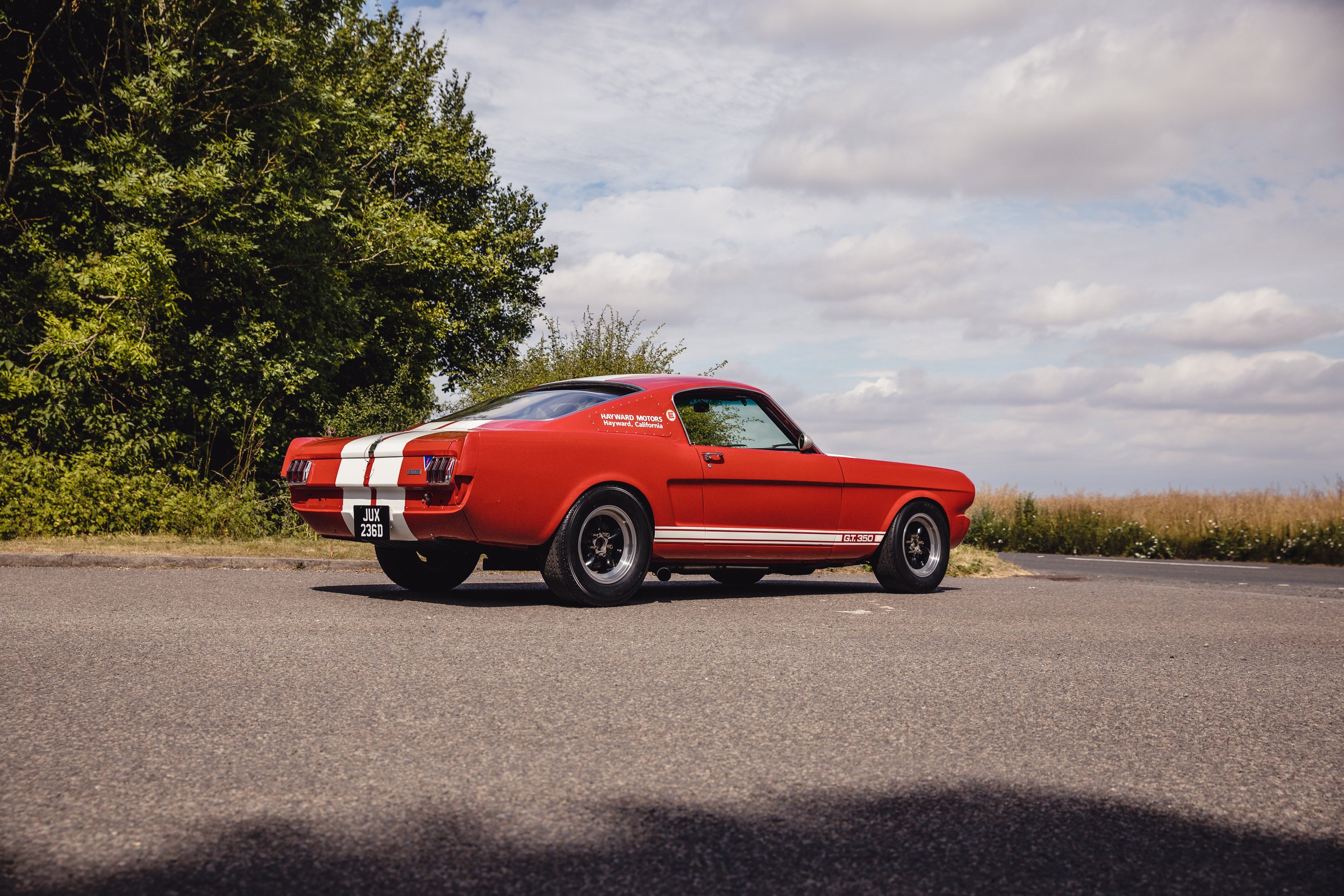 GT350-6783.jpg