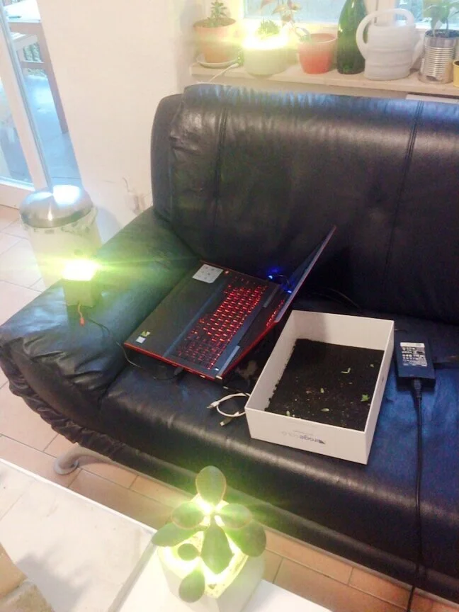 Technical setting for the deployment