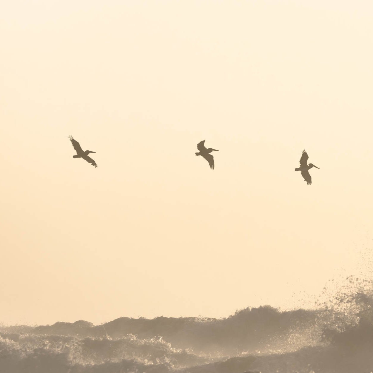 Last Flight