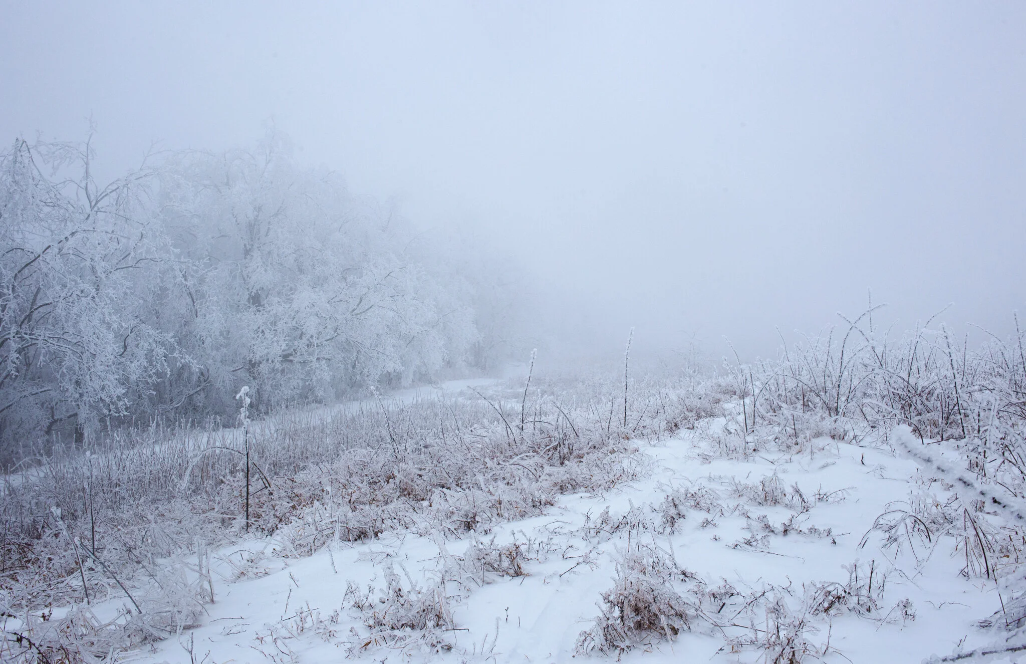 More snow!