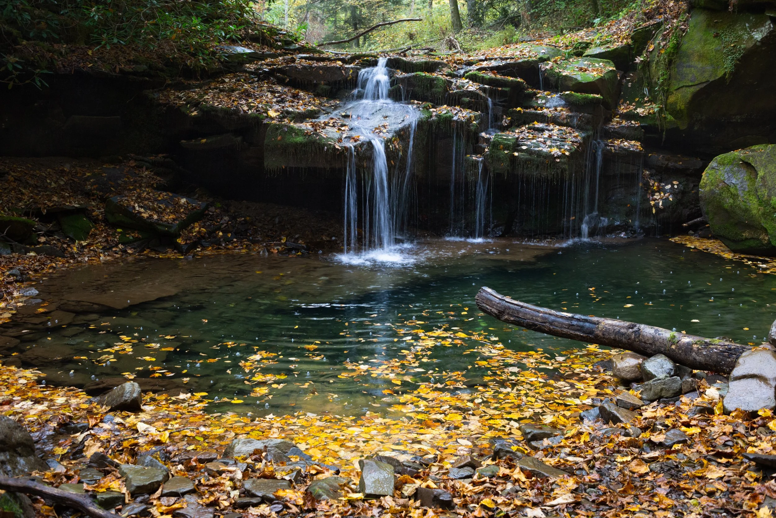 Holiday Sale — Josh Stansfield Photography