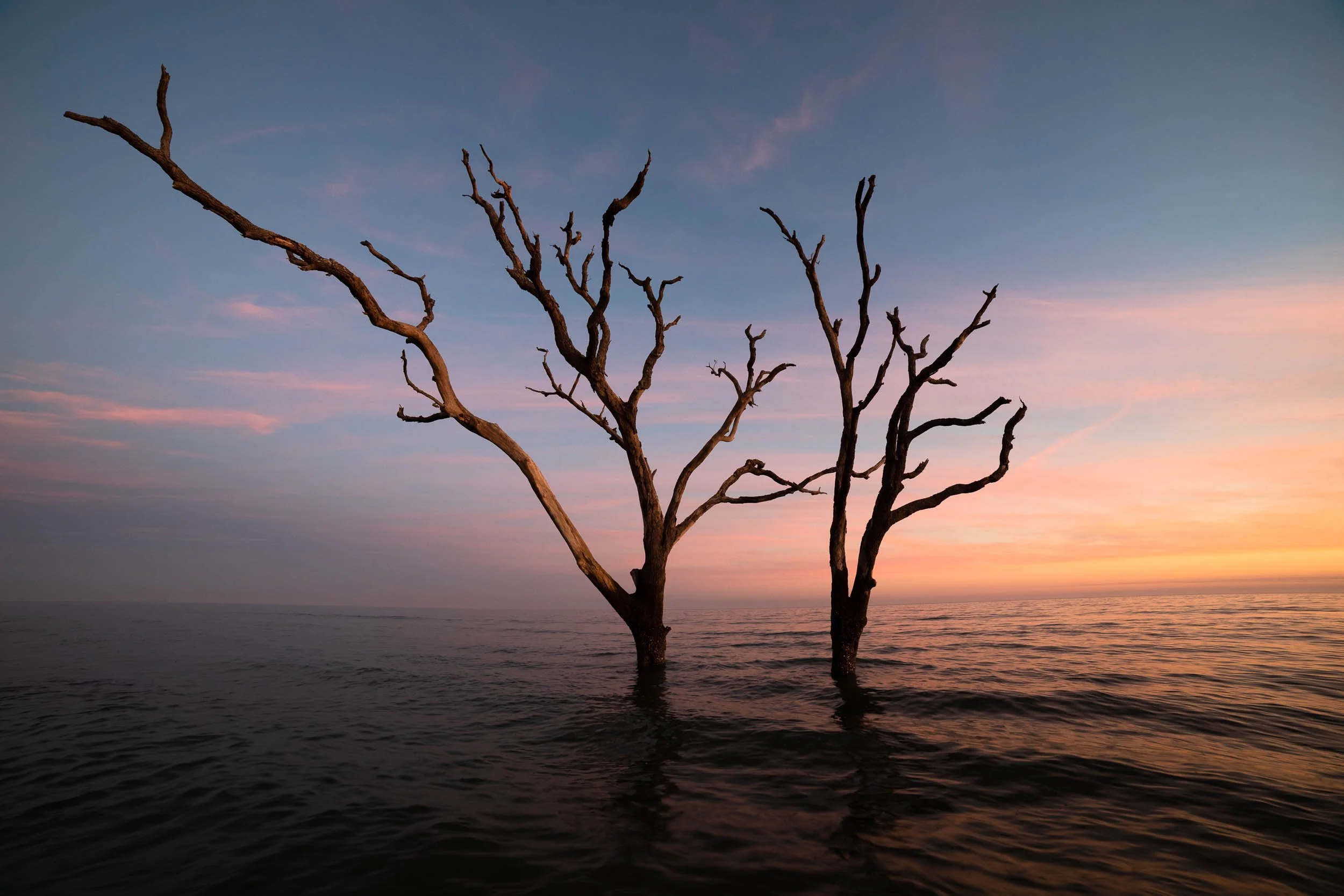 Sentinels 