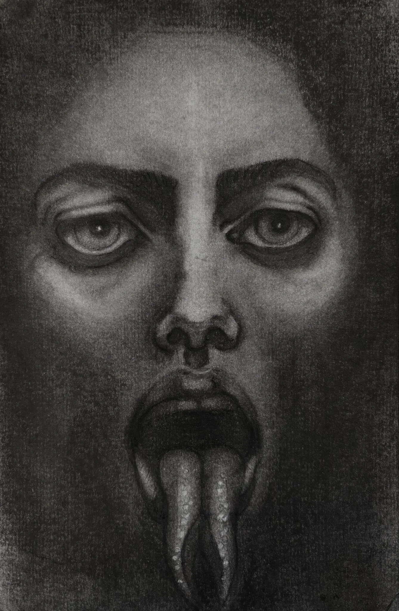 WhatsApp Image 2026-01-07 at 09.46.57.jpeg