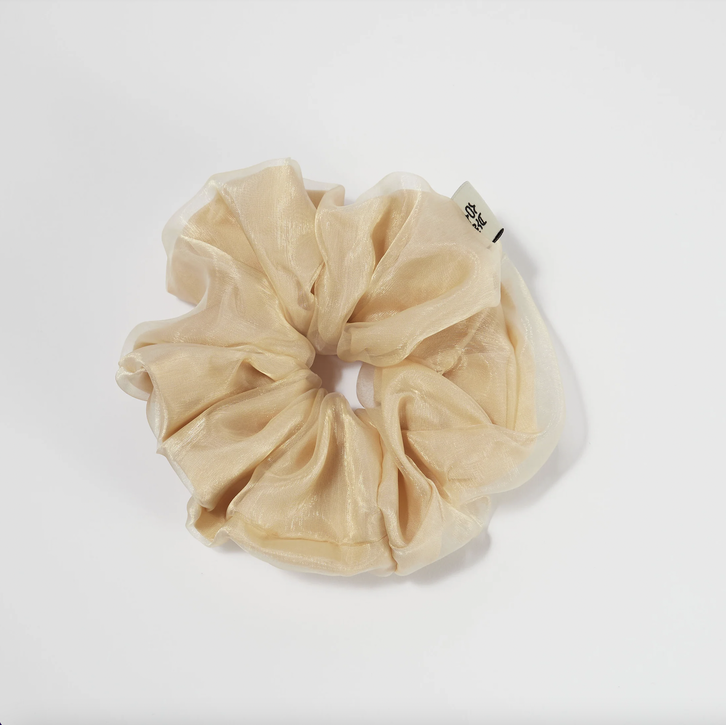 Hobul Tamara Large.png