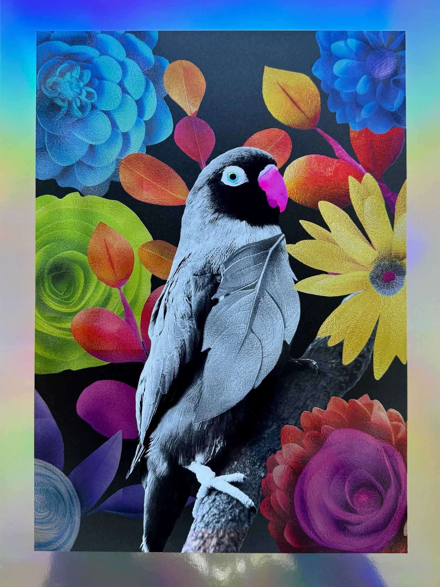 Nature and Wildlife as Muse:
