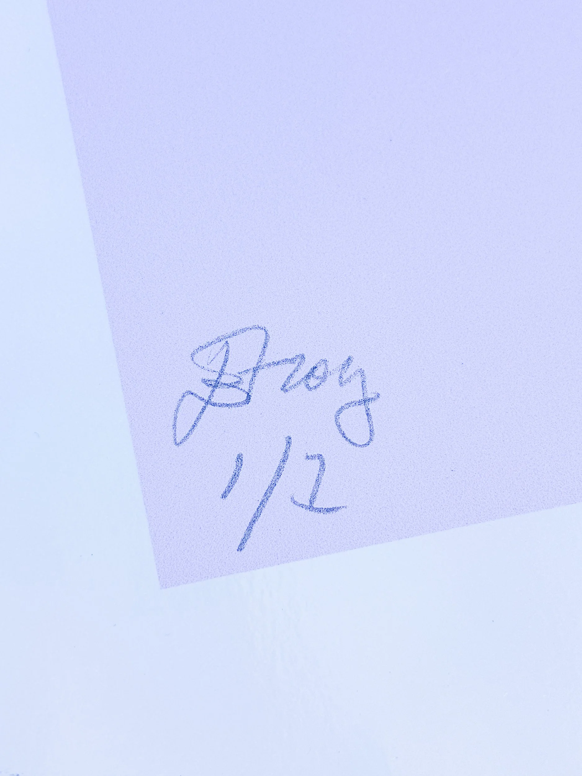 Elisabeth for socials -9.jpg