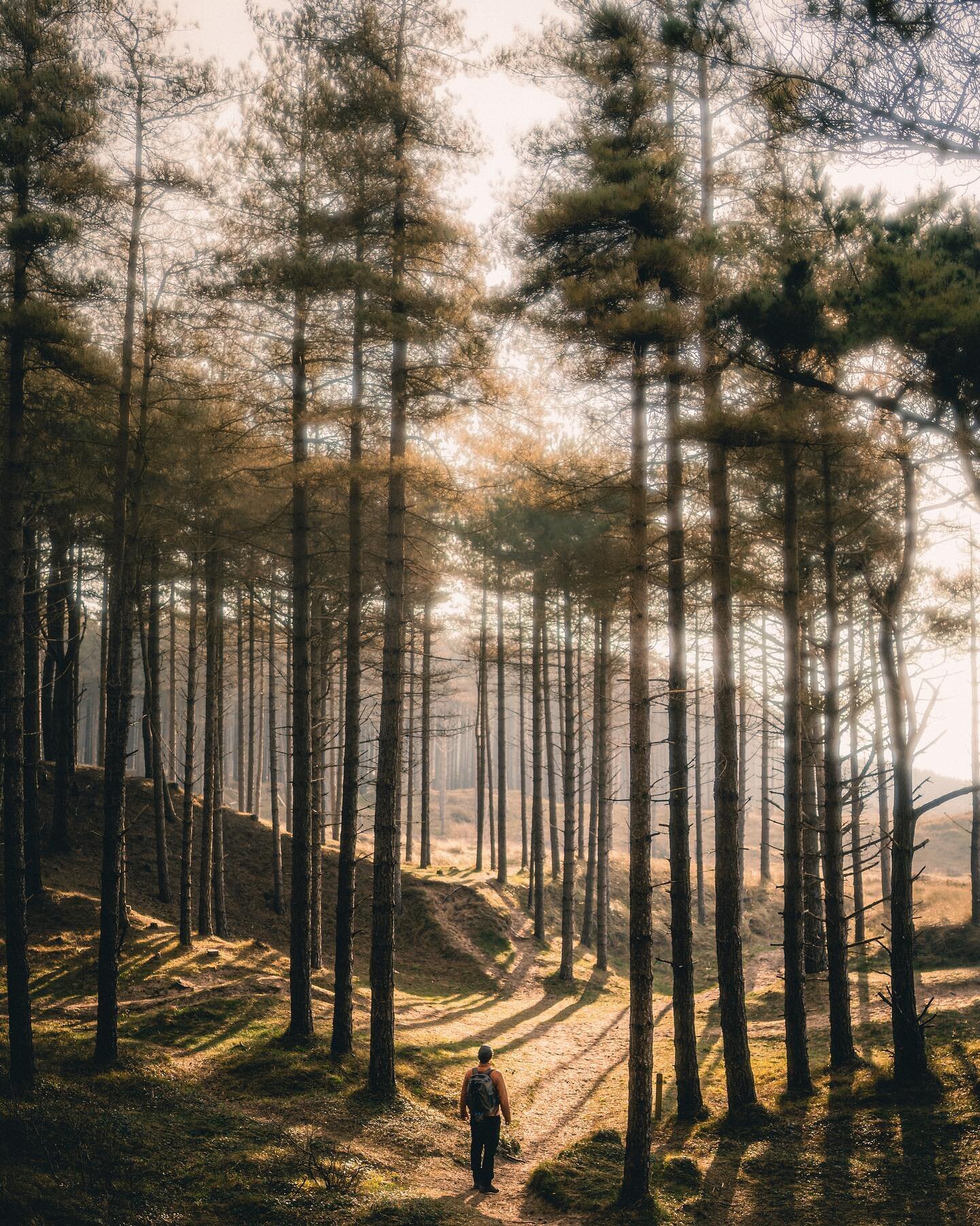 Exploring in Newborough forest, shot by @craigdavidmack. 
I saw 2 red squirrels here, the first I&rsquo;ve seen since I was a kid! 

I definitely fancy heading here again soon and spending a whole weekend photographing the squirrels.