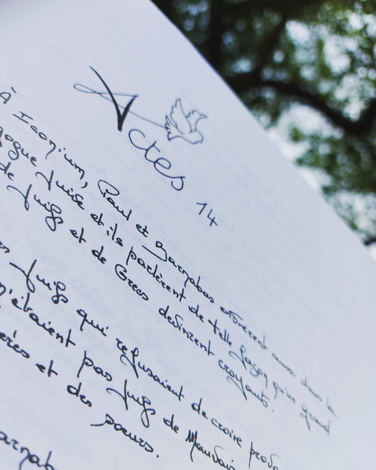 Actes 14 
#bible #biblemanuscrite #copiste