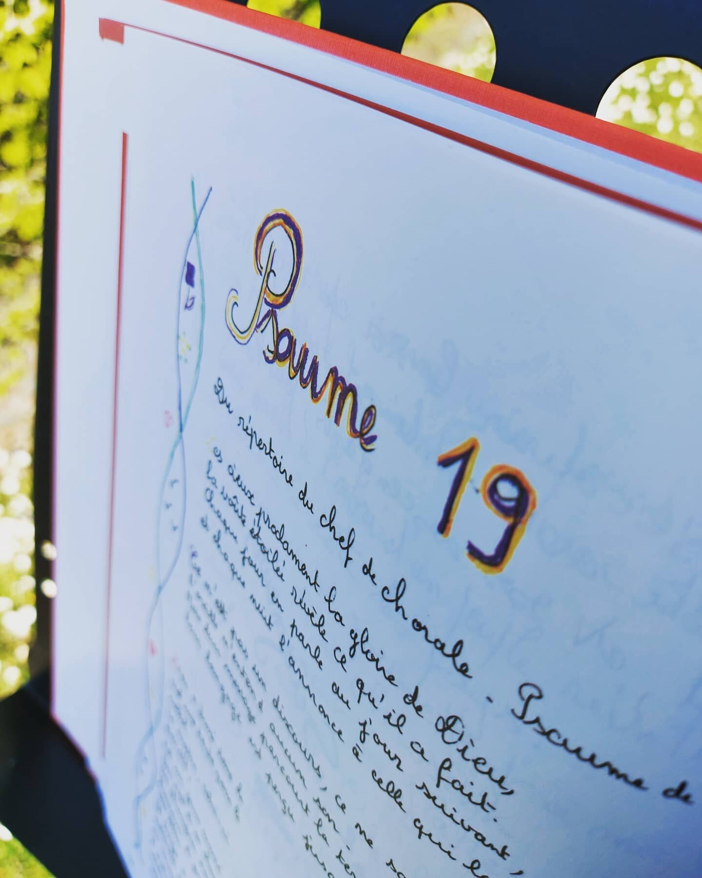 Psaumes 19
#bible #biblemanuscrite #copiste