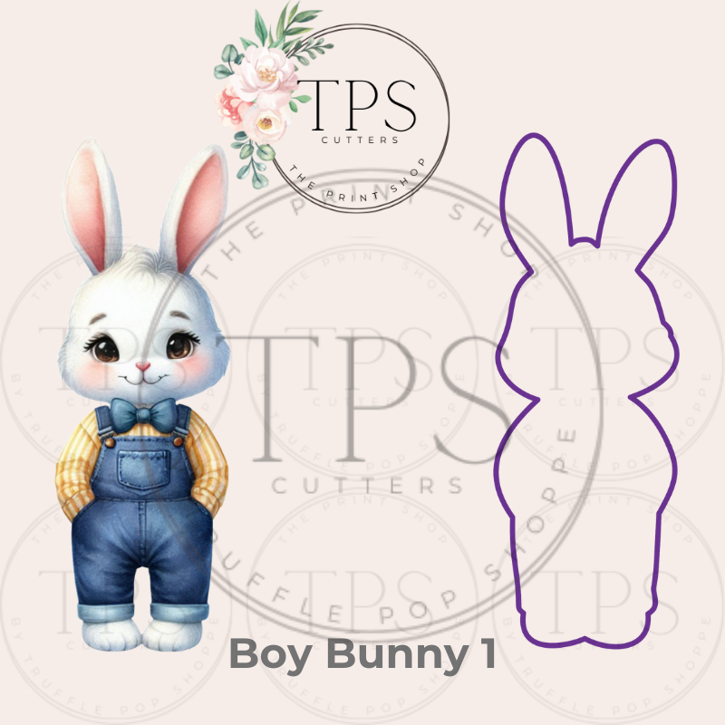 PL - Image & Outline.png