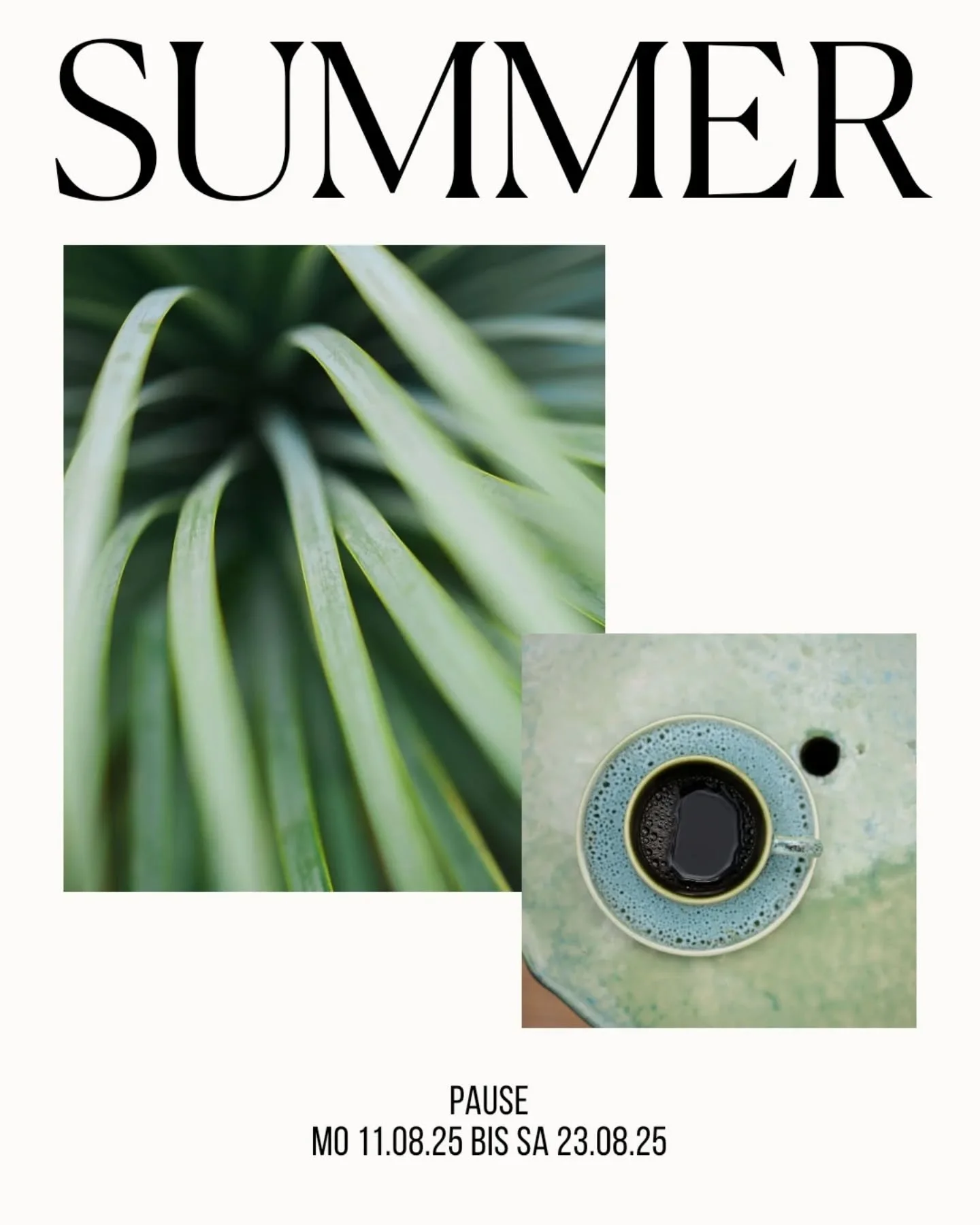 Bevor es herbstlich wird m&ouml;chten wir noch einmal sommerliche Momente genie&szlig;en. 

SUMMERBREAK 11.08.BUS 23.08.25

#flowers 
#floristmeisterin 
#floristmitleidenschaft
#flowerdelivery
#flowerlove 
#decoration 
#100prozenthandwerk 
#blumigegl