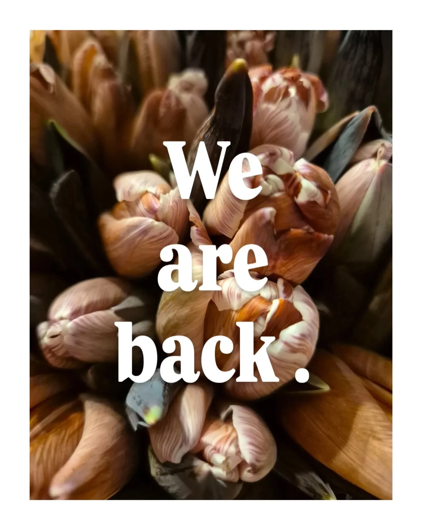 Lust auf Blumen?
Lust auf Farben?
Lust auf Fr&uuml;hling?

Ab Montag 12.01.26 sind wir zu den gewohnten &Ouml;ffnungszeiten zur&uuml;ck. 

Wir freuen uns auf euch!