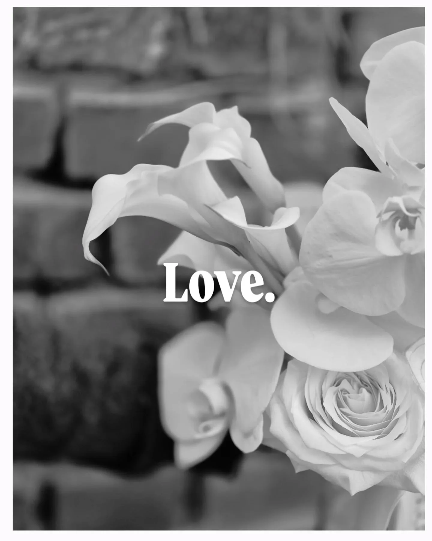 Lust - JA -  zu sagen?
Lust auf au&szlig;ergew&ouml;hnliche Blumen ?

Wir beraten euch mit Leidenschaft und fachlichem Knowhow. Vereinbart gerne euren pers&ouml;nlichen Beratungungstermin f&uuml;r eure Hochzeit in 2026.

#weddingflorist
#weddinginspi