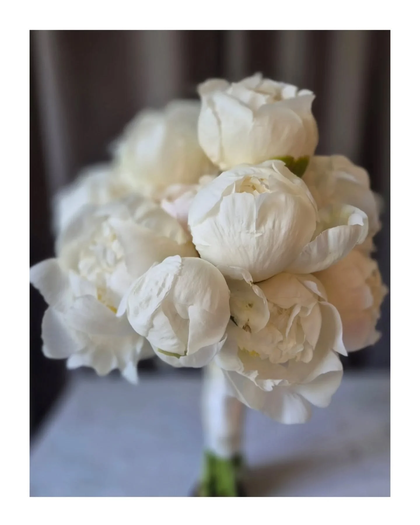 Brautstrau&szlig;. 
Pur. Wei&szlig;. 
Mono. P&auml;onien. 

#weddingflorist #paderborn #floristmitleidenschaft #wedding #blumigegluecklichmacher