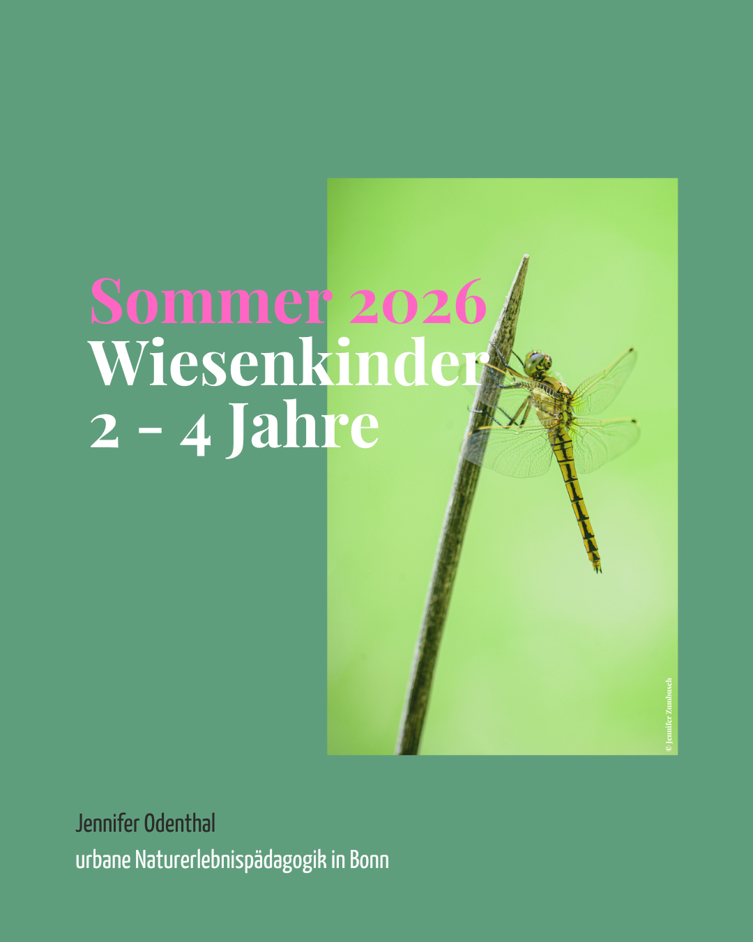 Sommerferien4.png