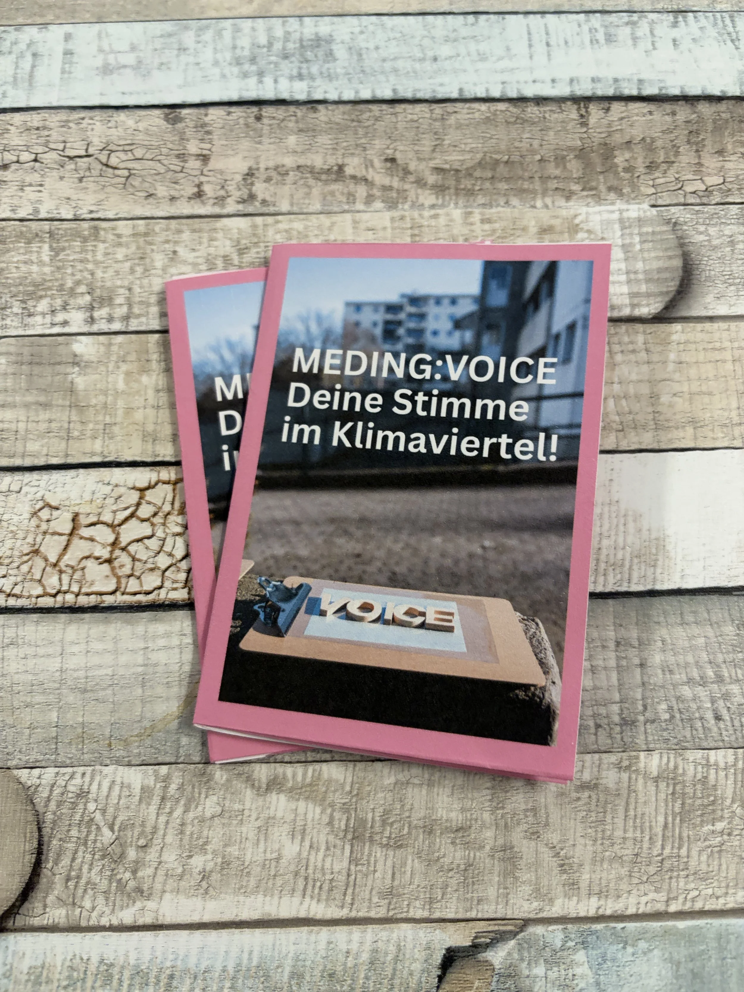 MEDINGVOICE_ZINE.jpeg