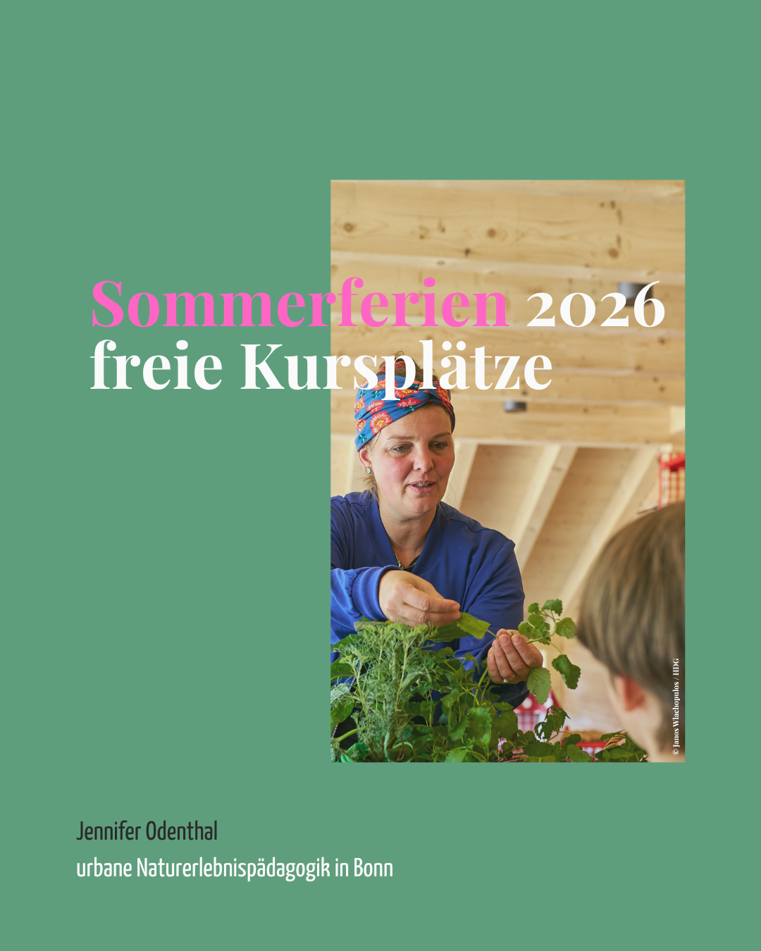 Sommerferien5.png
