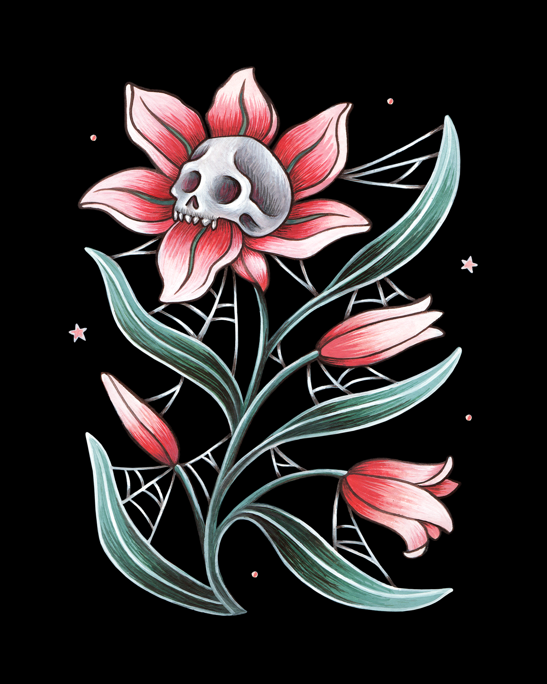 The Lily