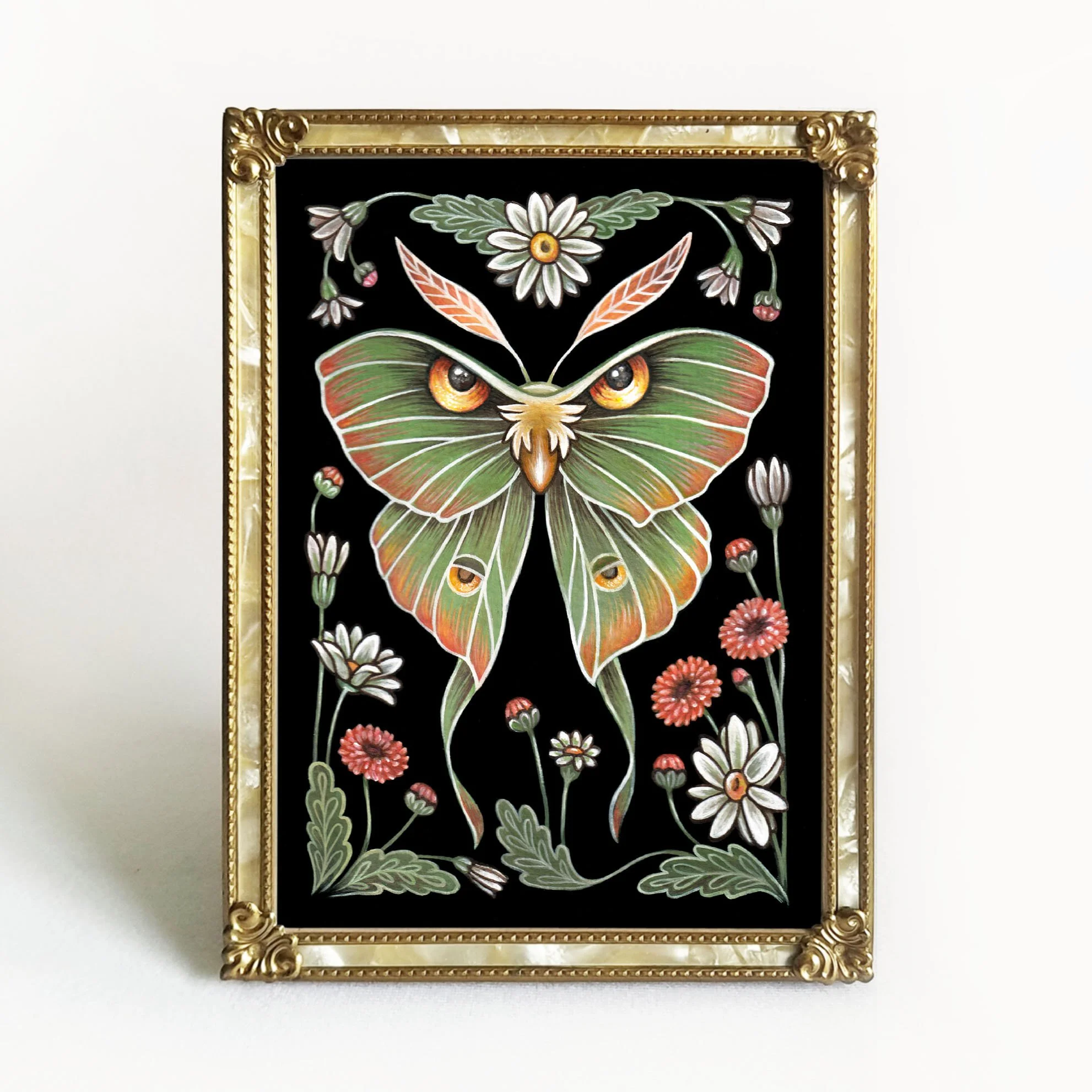 moth etsy 4.jpg