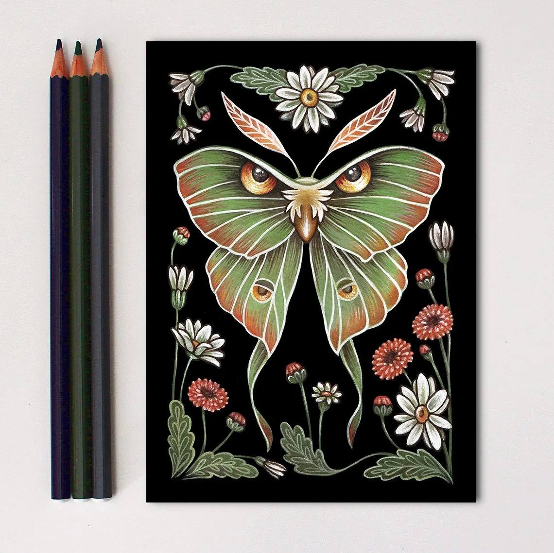moth etsy 8.jpg