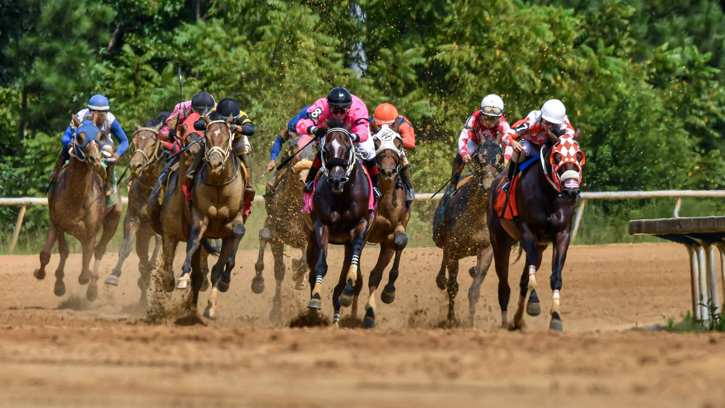 Wiener Dog Racing, Colonial Downs